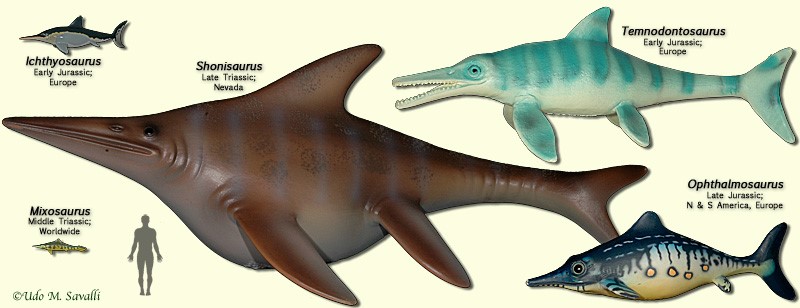 triassic marine animals
