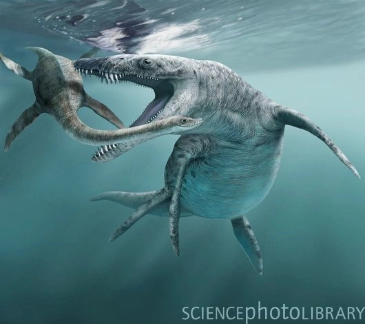 Liopleurodon extinct marine reptile